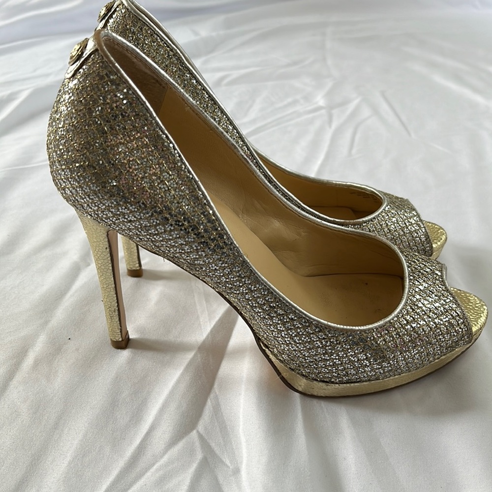 Great silver and gold special occasion shoes. Great condition!